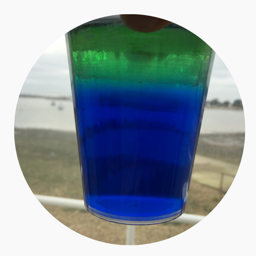 A small beaker with coloured water. Denser, salty water at the bottom in blue and less dense, freshwater on top coloured green.